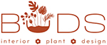 Buds